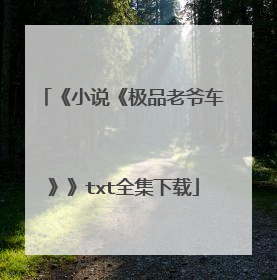 《小说《极品老爷车》》txt全集下载