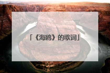 《海鸥》的歌词