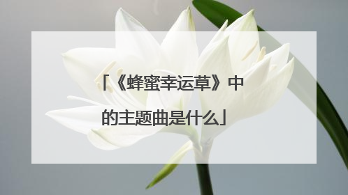 《蜂蜜幸运草》中的主题曲是什么