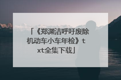 《郑渊洁呼吁废除机动车小车年检》txt全集下载