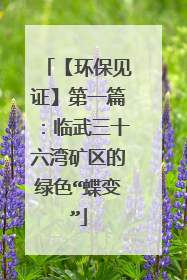 【环保见证】第一篇：临武三十六湾矿区的绿色“蝶变”