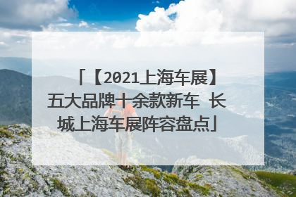 【2021上海车展】五大品牌十余款新车 长城上海车展阵容盘点