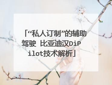 “私人订制”的辅助驾驶 比亚迪汉DiPilot技术解析