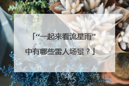 “一起来看流星雨”中有哪些雷人场景？