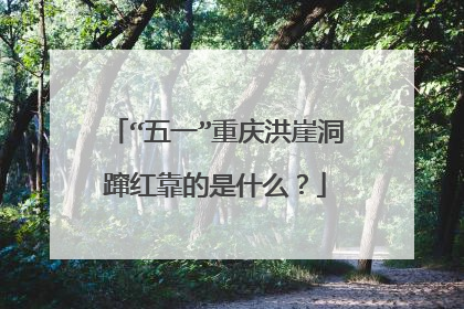 “五一”重庆洪崖洞蹿红靠的是什么？