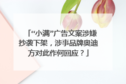 “小满”广告文案涉嫌抄袭下架，涉事品牌奥迪方对此作何回应？