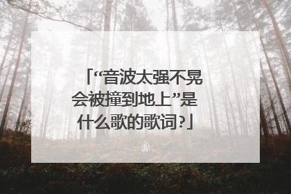 “音波太强不晃会被撞到地上”是什么歌的歌词?