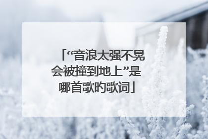 “音浪太强不晃会被撞到地上”是哪首歌旳歌词