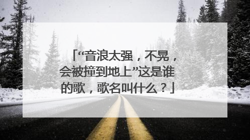 “音浪太强，不晃，会被撞到地上”这是谁的歌，歌名叫什么？