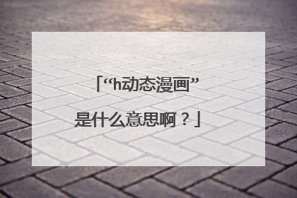 “h动态漫画”是什么意思啊？