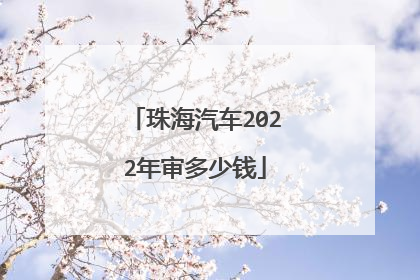 珠海汽车2022年审多少钱