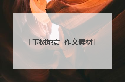 玉树地震 作文素材