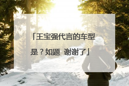 王宝强代言的车型是？如题 谢谢了