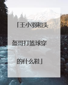 王小羽和头盔哥打篮球穿的什么鞋