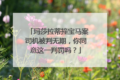 玛莎拉蒂撞宝马案司机被判无期，你同意这一判罚吗？