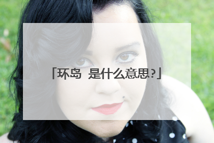 环岛 是什么意思?