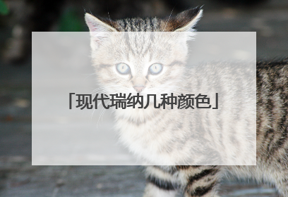 现代瑞纳几种颜色