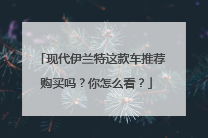现代伊兰特这款车推荐购买吗？你怎么看？