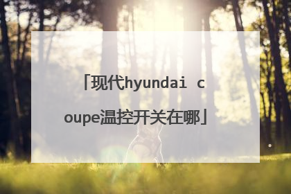 现代hyundai coupe温控开关在哪