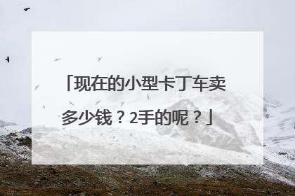 现在的小型卡丁车卖多少钱？2手的呢？