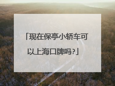 现在保亭小轿车可以上海口牌吗?