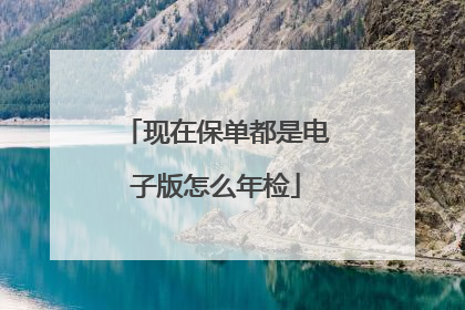 现在保单都是电子版怎么年检