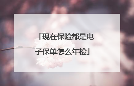 现在保险都是电子保单怎么年检