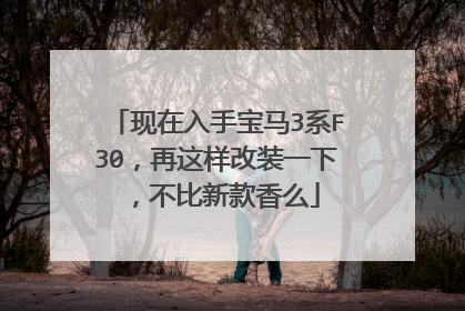 现在入手宝马3系F30，再这样改装一下，不比新款香么