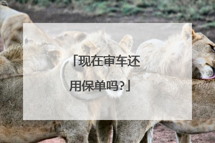 现在审车还用保单吗?