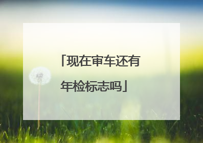 现在审车还有年检标志吗