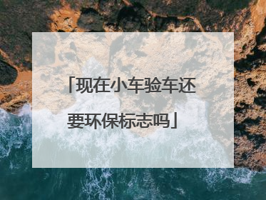 现在小车验车还要环保标志吗