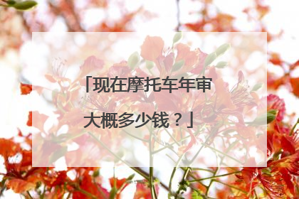 现在摩托车年审大概多少钱？