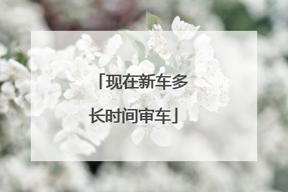 现在新车多长时间审车