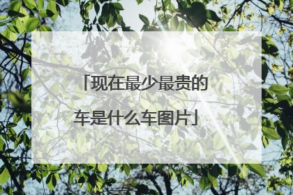 现在最少最贵的车是什么车图片