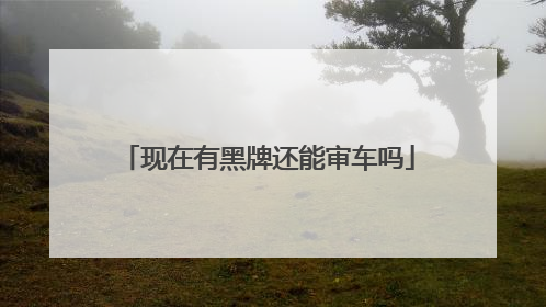 现在有黑牌还能审车吗