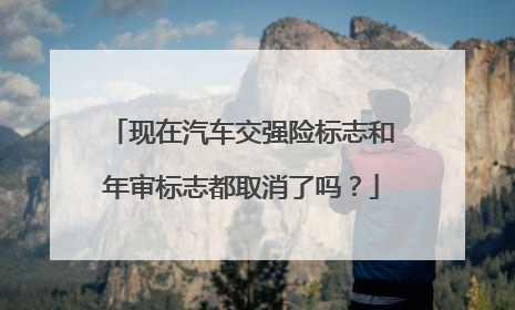 现在汽车交强险标志和年审标志都取消了吗？