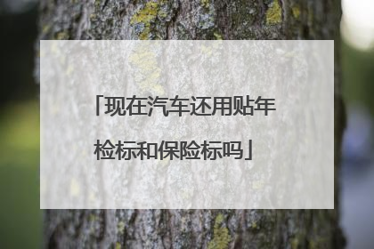 现在汽车还用贴年检标和保险标吗