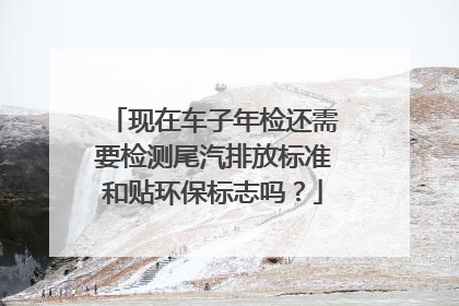 现在车子年检还需要检测尾汽排放标准和贴环保标志吗？