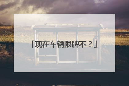 现在车辆限牌不？
