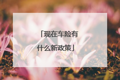 现在车险有什么新政策