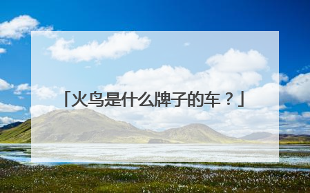 火鸟是什么牌子的车？