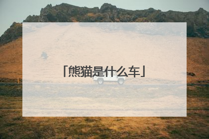 熊猫是什么车