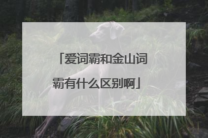爱词霸和金山词霸有什么区别啊