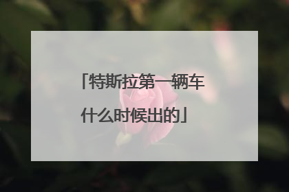 特斯拉第一辆车什么时候出的