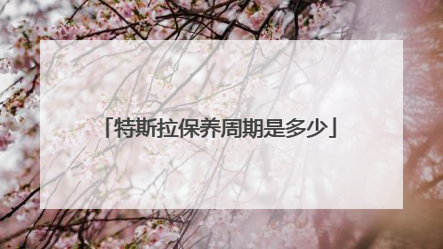 特斯拉保养周期是多少