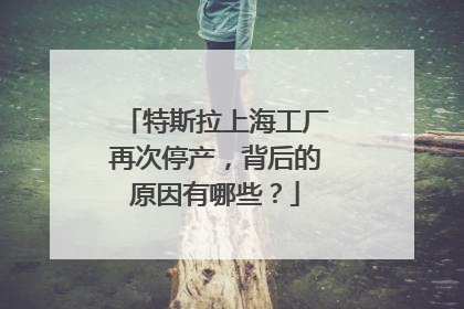 特斯拉上海工厂再次停产，背后的原因有哪些？