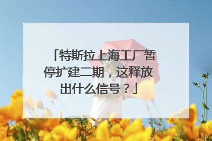 特斯拉上海工厂暂停扩建二期，这释放出什么信号？