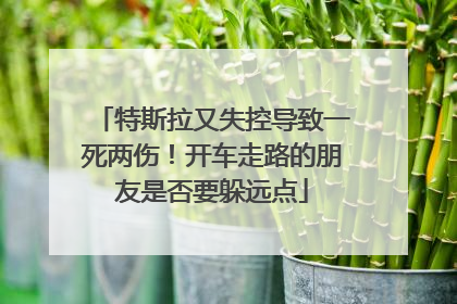 特斯拉又失控导致一死两伤！开车走路的朋友是否要躲远点