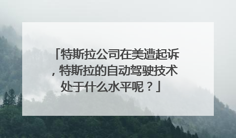 特斯拉公司在美遭起诉，特斯拉的自动驾驶技术处于什么水平呢？