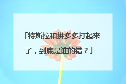 特斯拉和拼多多打起来了，到底是谁的错？